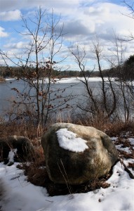 Shoreline at Mansfield Hollow
